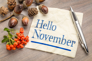 Hello November on napkin