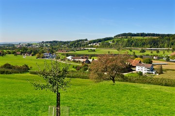 Fototapeta na wymiar Blick über die grüne Landschaft mit Wiesen und Bäume von der Gemeinde Baar im Kanton Zug, Schweiz 
