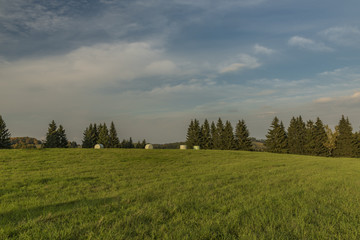 Evening in Slavkovsky les national park