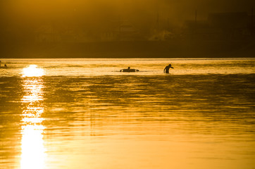 people bathe against the backdrop of a sunset and a bright orange sun in a village in the country.
