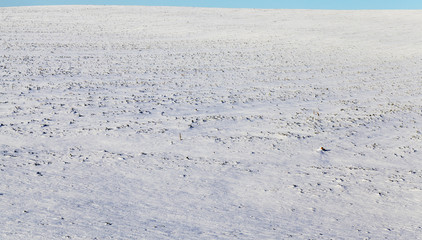 Snow drifts in winter