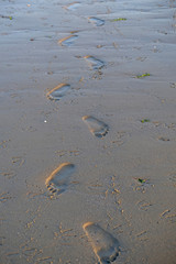 At the seashore 20 Footprints