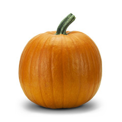 Zucca