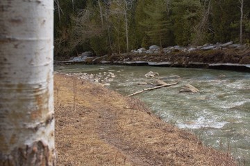 The Rouge River In Early Spring