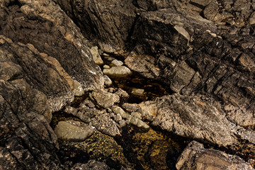 Tidal Beach View, Tofino, British Columbia