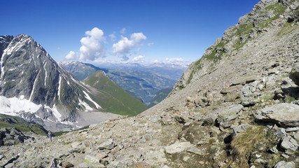 Panorama of Chamois Mountain Goat Animals on rock of Mont Blanc massif. Chamonix, France, Europe