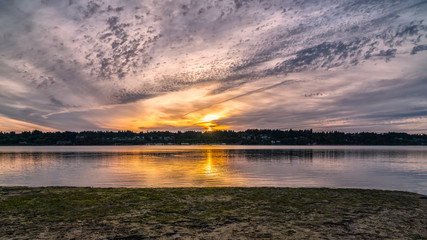 Budd Inlet Sunset