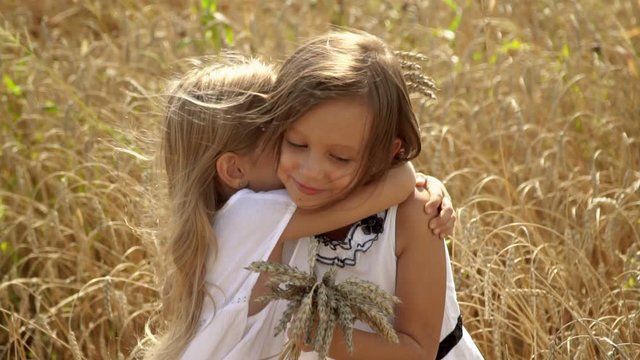 Lovely girls care the friend about the friend. Fair-haired girls walks across the field of wheat. Girls collect ears of gold wheat in a hand. Little sisters walk on roasters of Russia. Slow motion..