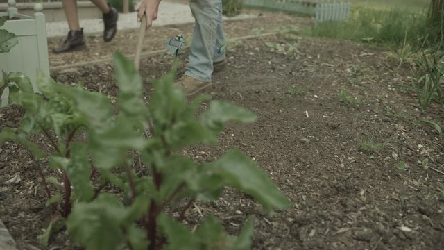  Low angle view of unrecognizable gardener raking soil in allotment