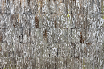 wood wall material background texture