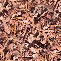 seamless wooden chips mulch on the ground texture. background.