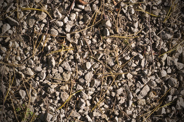 rocky ground texture at autumn. background.