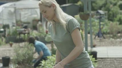  Portrait smiling volunteer working as part of a group in community garden