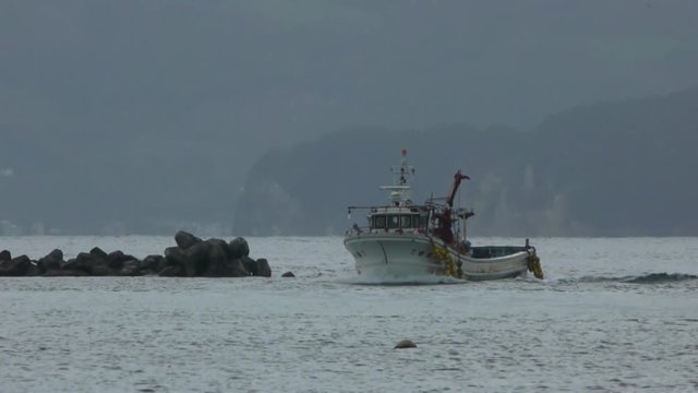 噴火湾の漁船