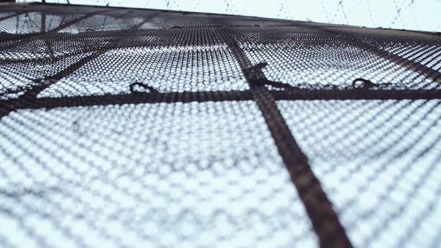 Metal rabitz fencing with barbed wire on top in front of grey sky, cold cloudy day