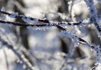 Winter time of the year