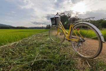 Bicycle on the road with rice field view, Northern of Thailand