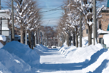 雪が積もった生活道路