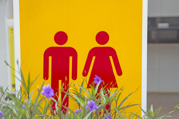 Male red-female toilet symbol, yellow background with purple flowers