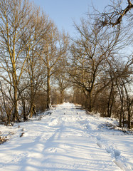 Snow drifts in winter