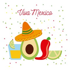 vive mexico avocado hat chili tequila and lemon vector illustration