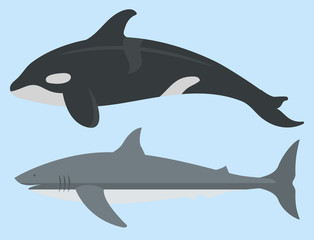 Vector sea animals creatures characters cartoon ocean underwater aquarium life water graphic aquatic tropical beasts illustration