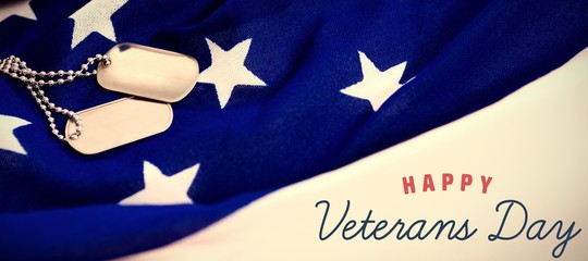 Composite image of logo for veterans day in america 