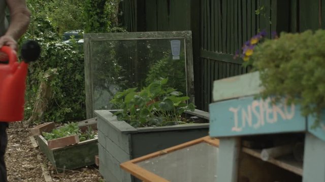  Man watering plants in community garden & checking homemade insect house