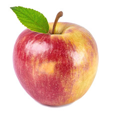 red apple on white background