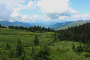 Fototapeta premium landscape