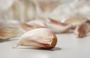 Garlic still life with a clove in the foreground