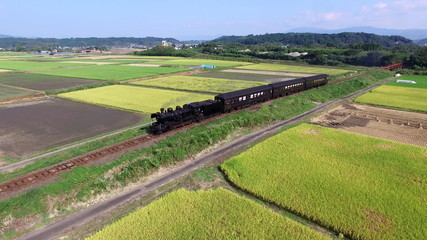 
稲田の中を走る蒸気機関車(SL人吉)と熊本県人吉市の田園風景