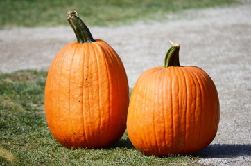 Two pumpkins sitting on a grass