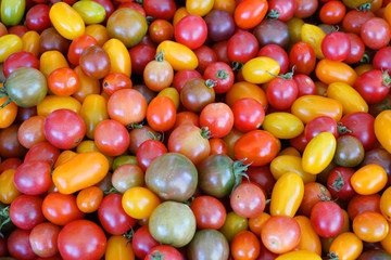 close up on colorful cherry tomato background