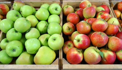 Green and red apples in farm store for sale