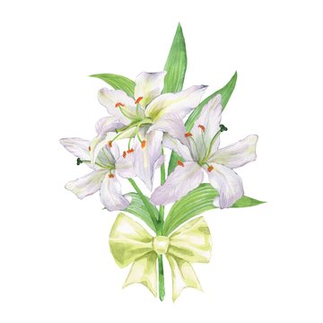 Watercolor bouquet of lily. White flowers 2