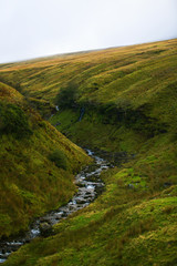Welsh nature and wildlife 
