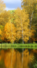 Bright photo of autumn trees and a pond