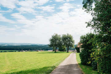 Scenic view of green valley in the austrian alps