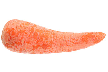 Ripe carrot on white background