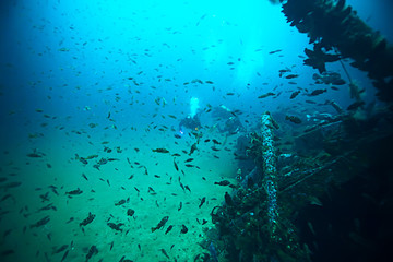 Fototapeta na wymiar shipwreck, diving on a sunken ship, underwater landscape