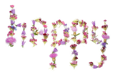Word happy from Pink and purple flowers isolated on white background. Fortunately sign with flower petals isolated on white background 