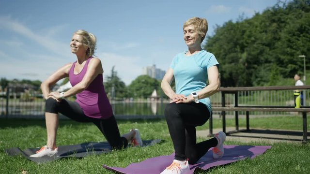  Healthy mature female friends working out together in the park