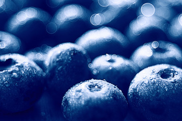 fresh berries blueberries close-up scattered black and white