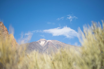 Teide on Tenerife with grass in the foreground