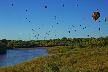 Fototapeta premium Morning Flight VI