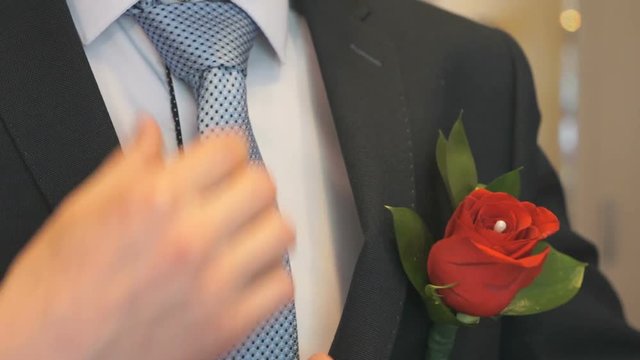 Close-up of female hands insert buttonhole - flower in the form of red rose in the upper pocket of the groom's jacket