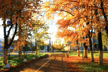 Naklejka premium Sunny weather in autumn park