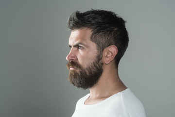 Obraz premium Guy or bearded man on grey background.