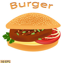 Burger. Fried cutlet. Roasted steak on white background. Meatball. Meat rissole and green vegetables. Vector illustration for a recipe, restaurant menu, kitchen interior